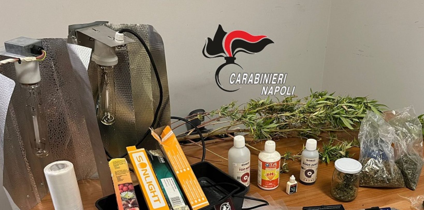 Mugnano laboratorio marijuana