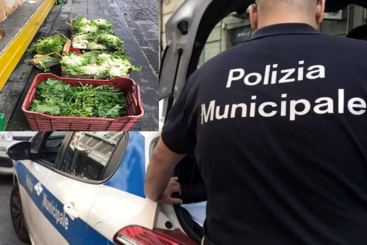arzano sequestrato negozio frutta verdura abusivo
