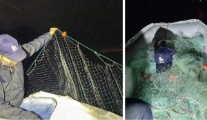 napoli-sequestrata-rete-pesca-parco-gaiola