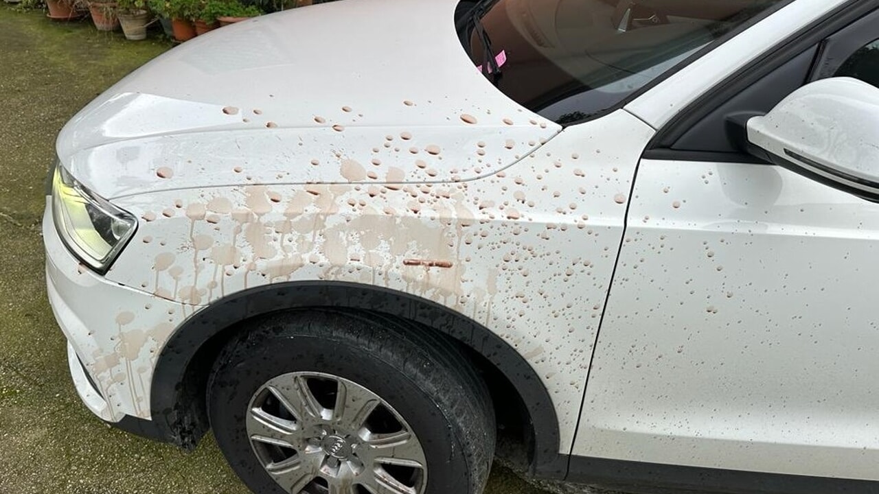 castel volturno atti vandalici auto comandante polizia municipale