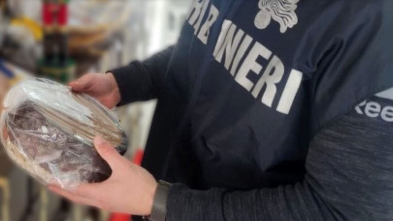 caserta sequestrati panettoni artigianali pasticcerie
