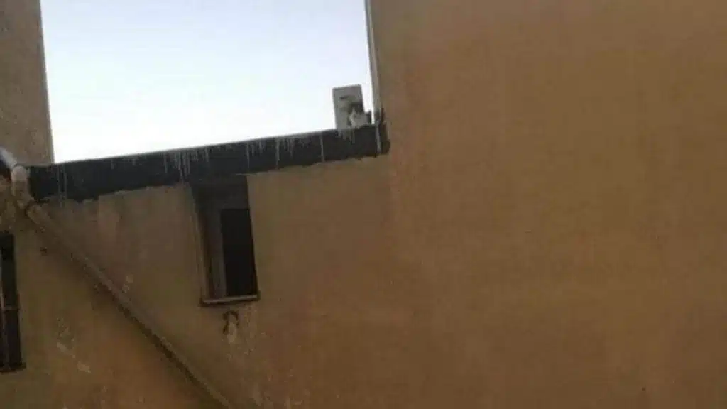 gatto-rischia-morire-freddo-pompei