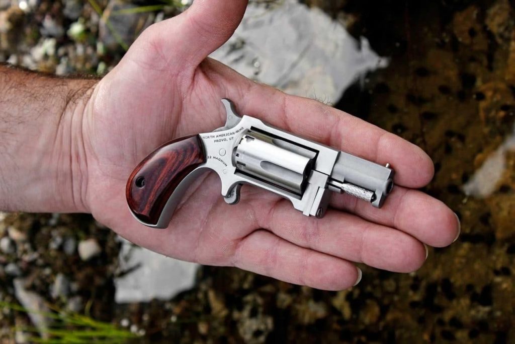 pozzolo-cose-e-pistola-north-american-arms-lr22