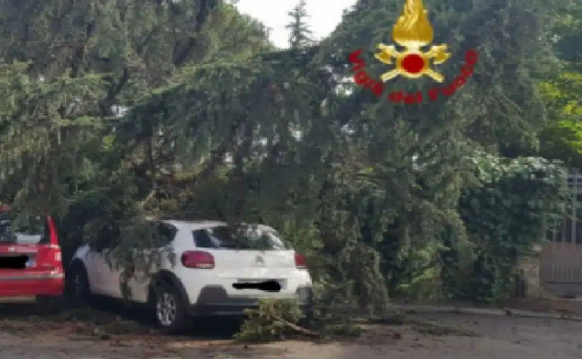 maltempo caserta danni 7 gennaio 2024