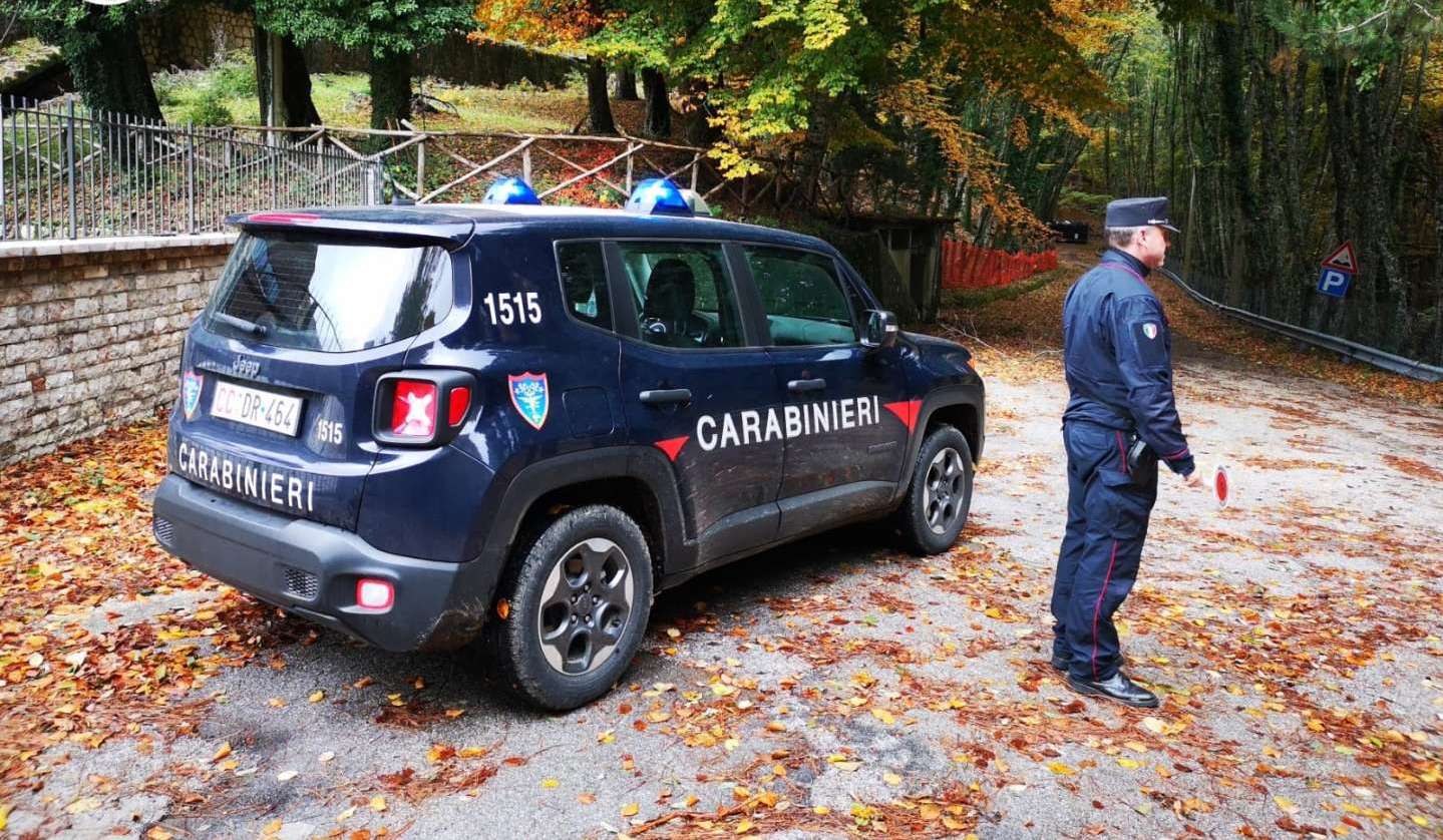 rifiuti-letame-sequestrato-allevamento-bovino-caiazzo