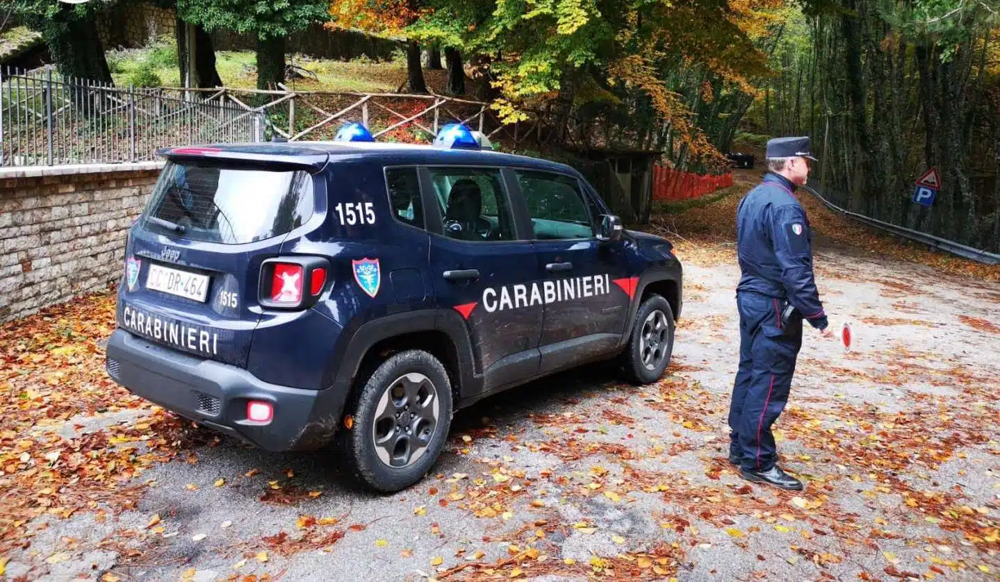 rifiuti-letame-sequestrato-allevamento-bovino-caiazzo