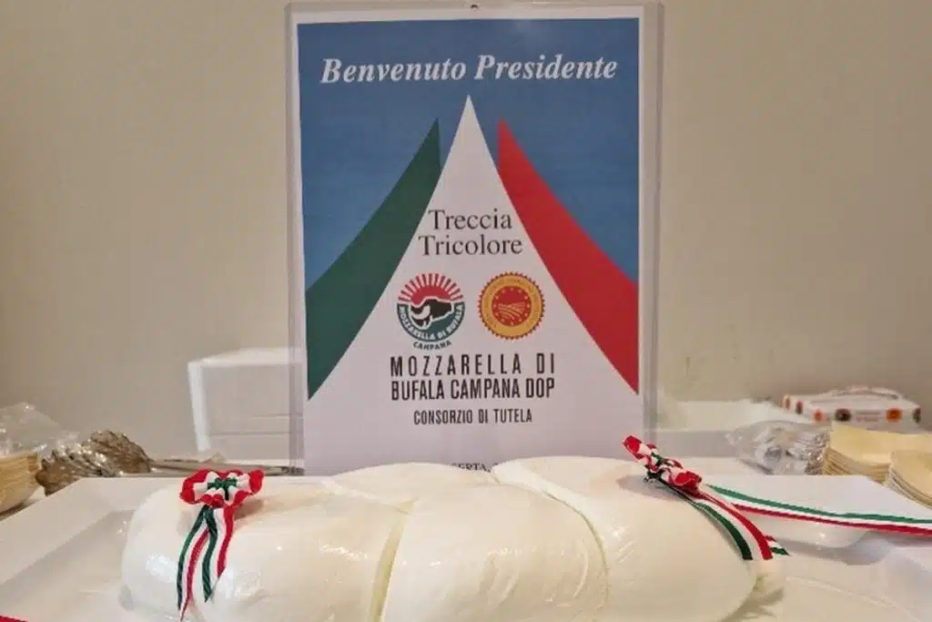 mattarella-caserta-treccia-mozzarella