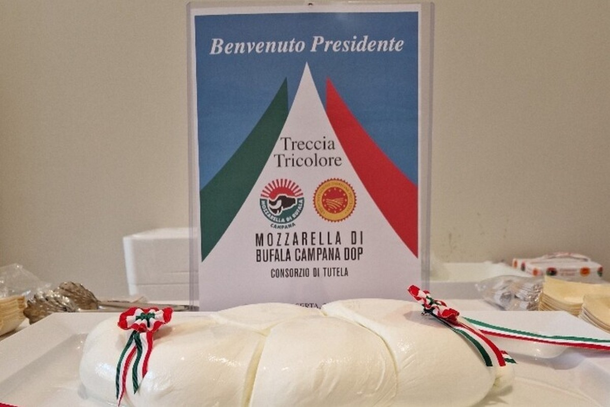 mattarella-caserta-treccia-mozzarella