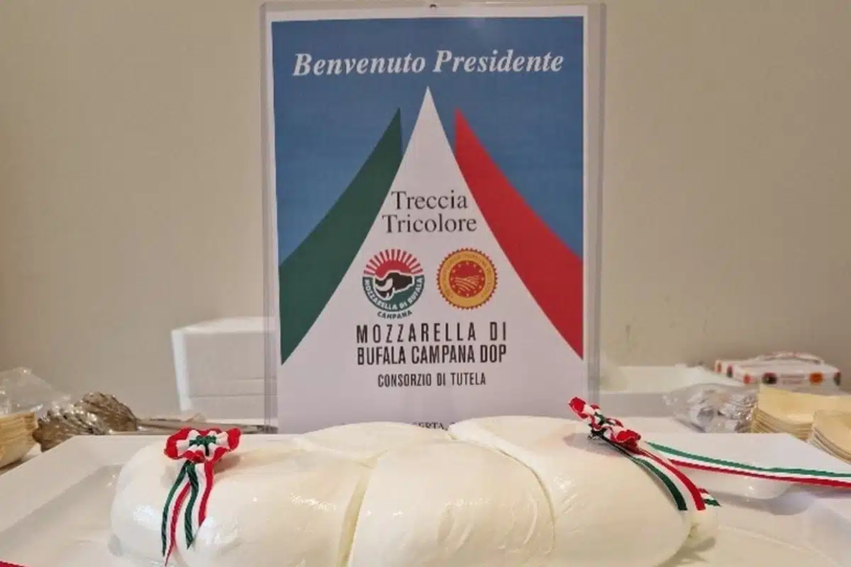 mattarella-caserta-treccia-mozzarella