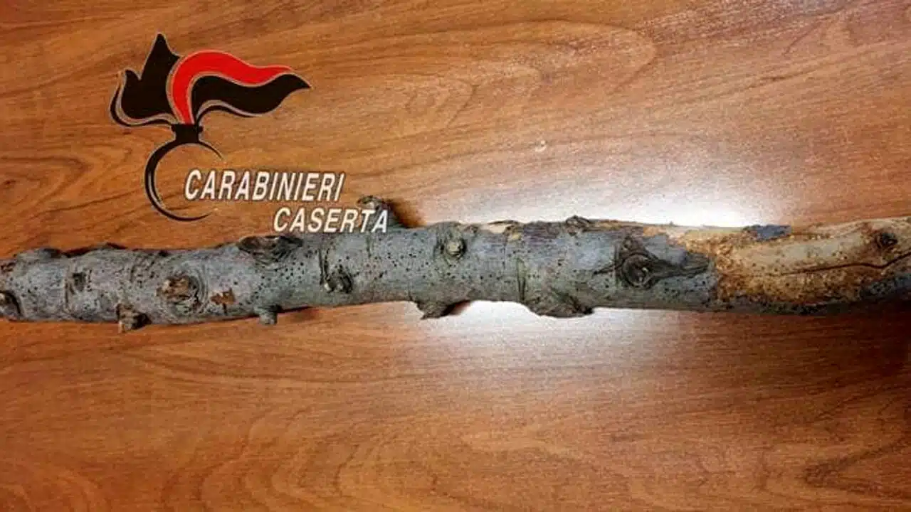 ubriaco aggredisce bastonate carabinieri arrestato frignano