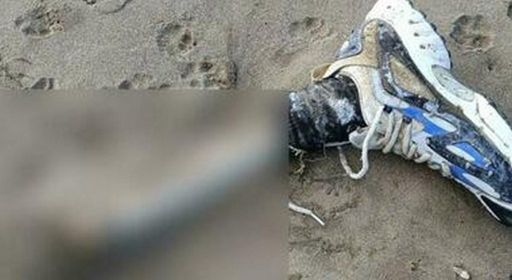 Giallo resti umani a Licinella: "Maschio bianco, morto da non più di nove mesi"