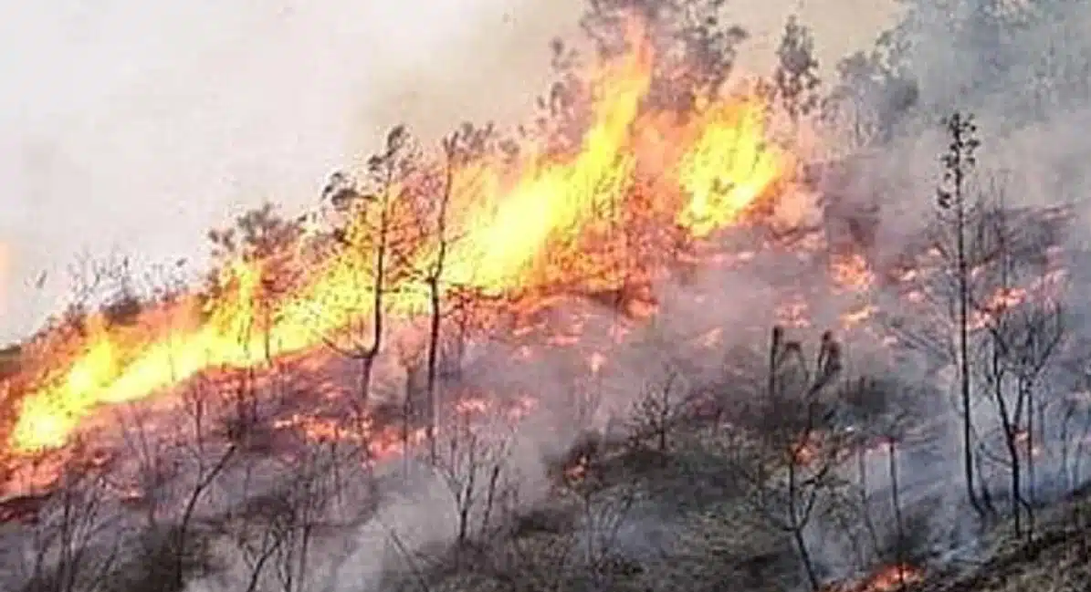 Bellona incendio monte Rageto
