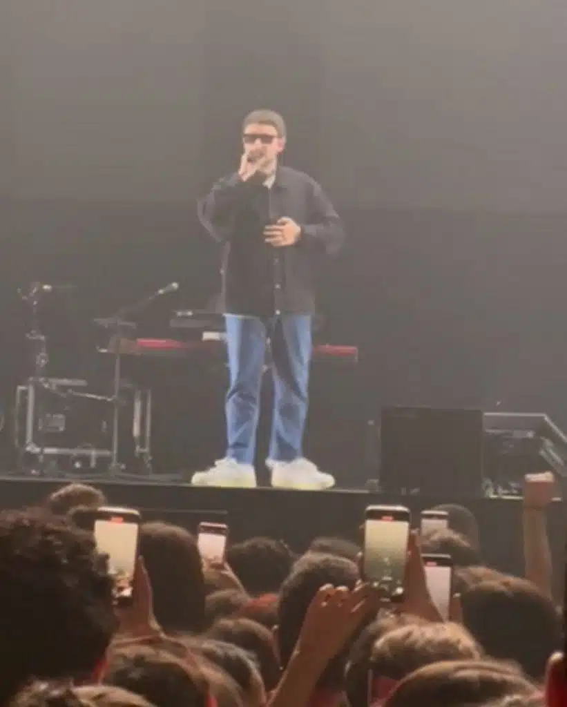gazzelle proposta matrimonio concerto eboli