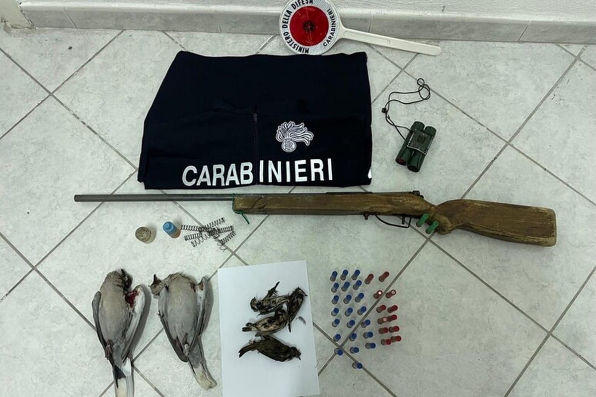 forio-ischia-arresti-domiciliari-cacciatore