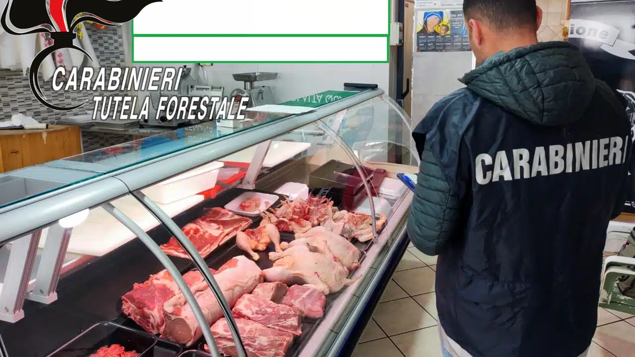 casaluce sequestro carne multa 11 aprile
