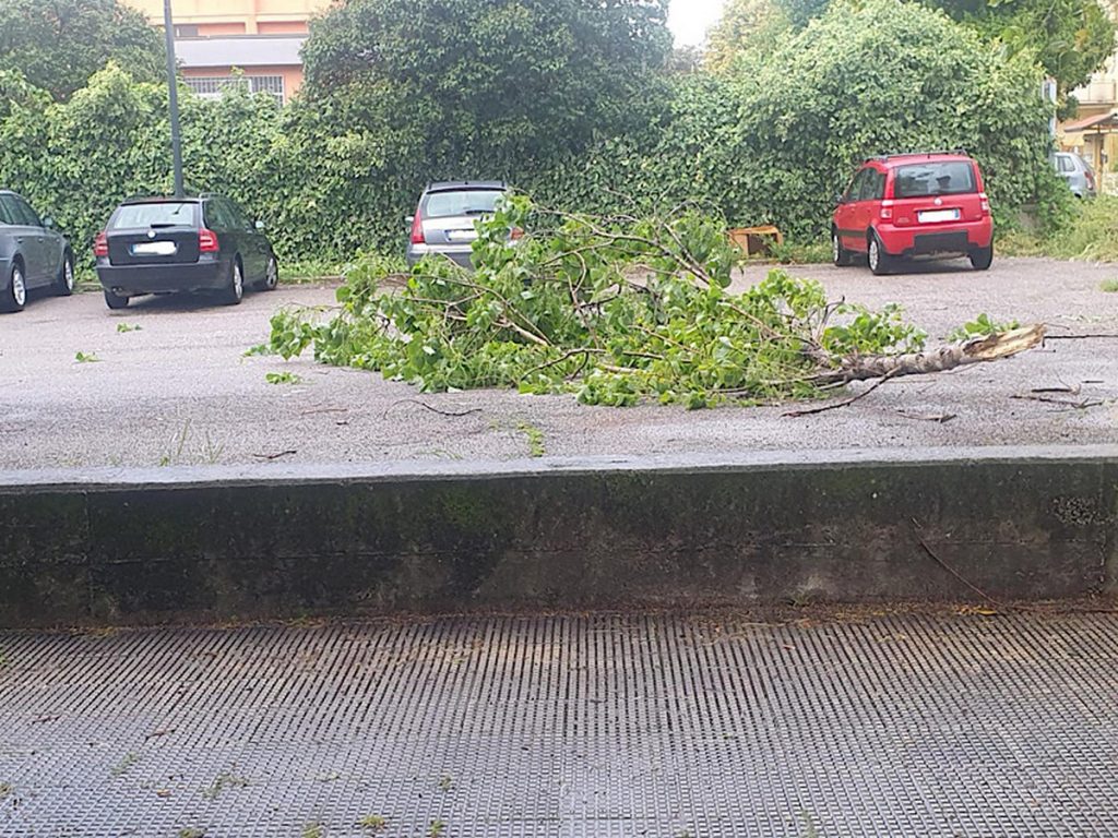cade ramo albero parcheggio scuola battipaglia