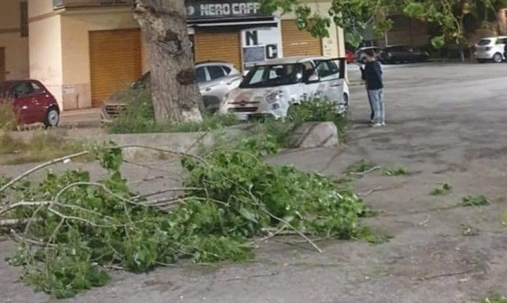 Battipaglia ramo albero crollato