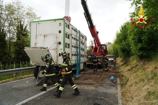 incidente venticano