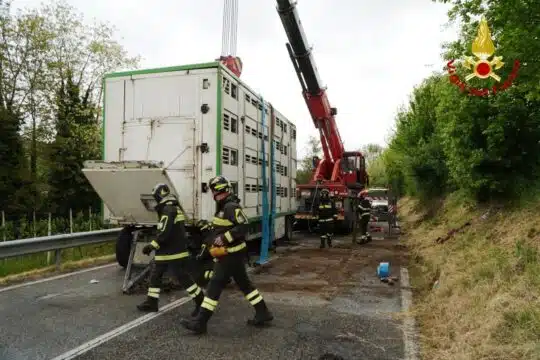 incidente venticano