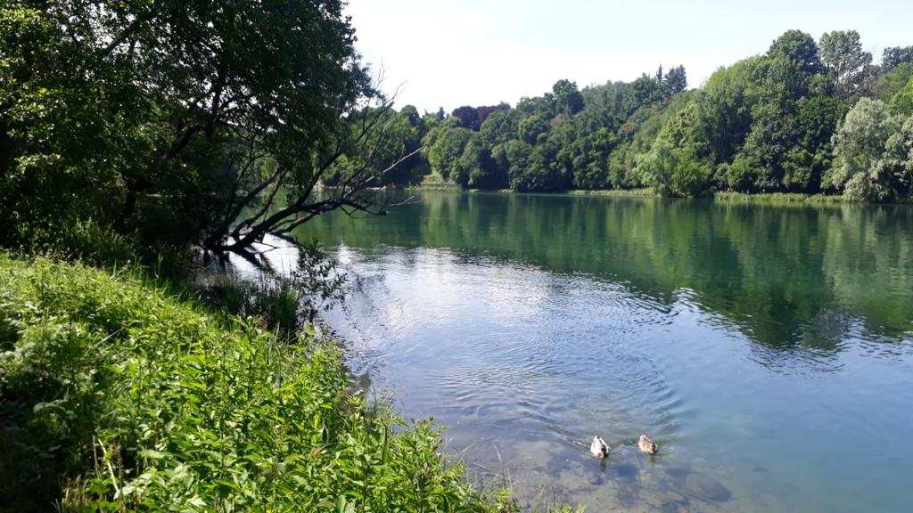 cadavere fiume adda