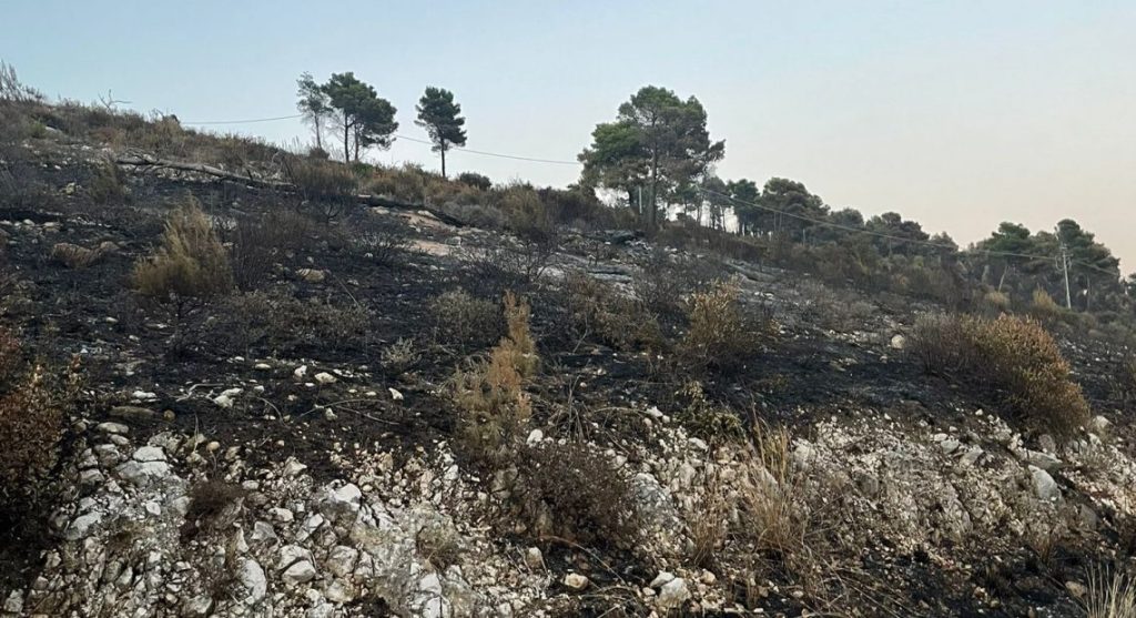 Incendio Casertavecchia responsabili arrestati dopo 12 anni