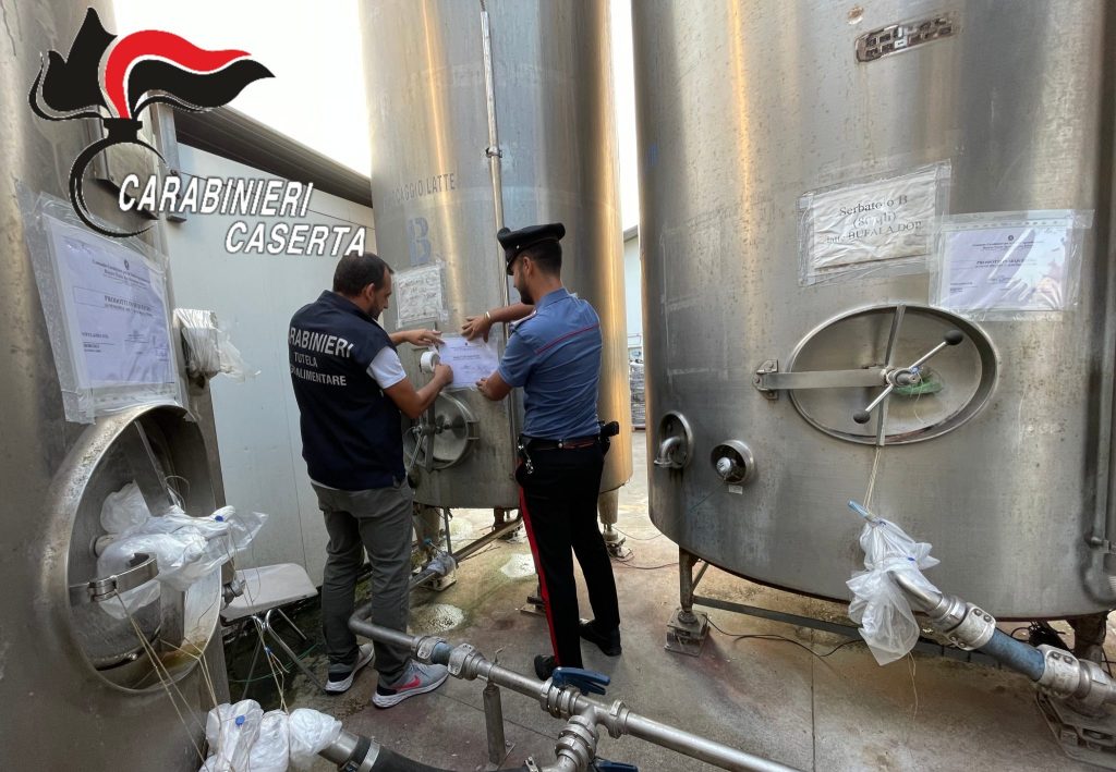 Vitulazio mozzarella falsa caseificio indagati