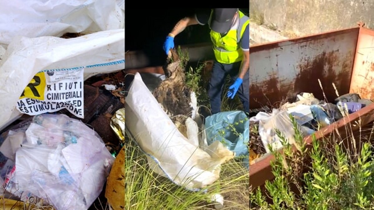 san pietro infine cane decapitato abbandonato container