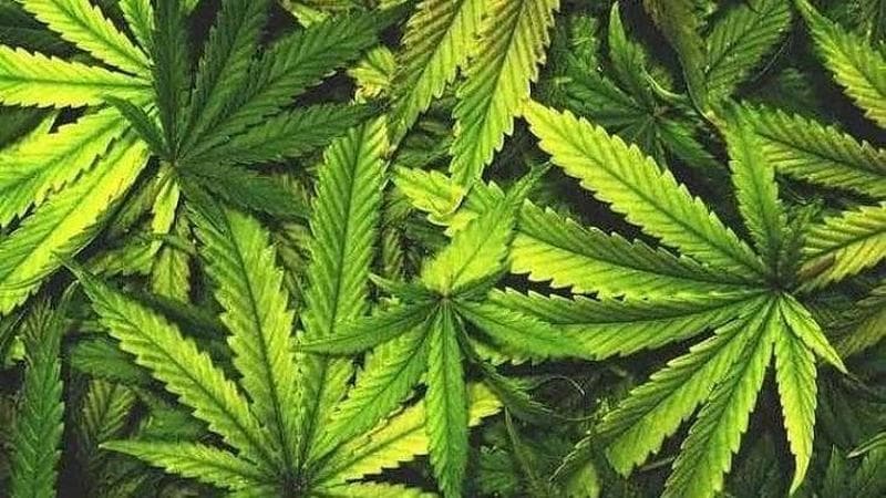 neonato ospedale intossicazione cannabis palermo indagini