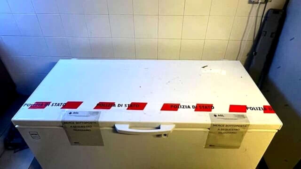 Torino ristorante chiuso carenze igienico sanitarie