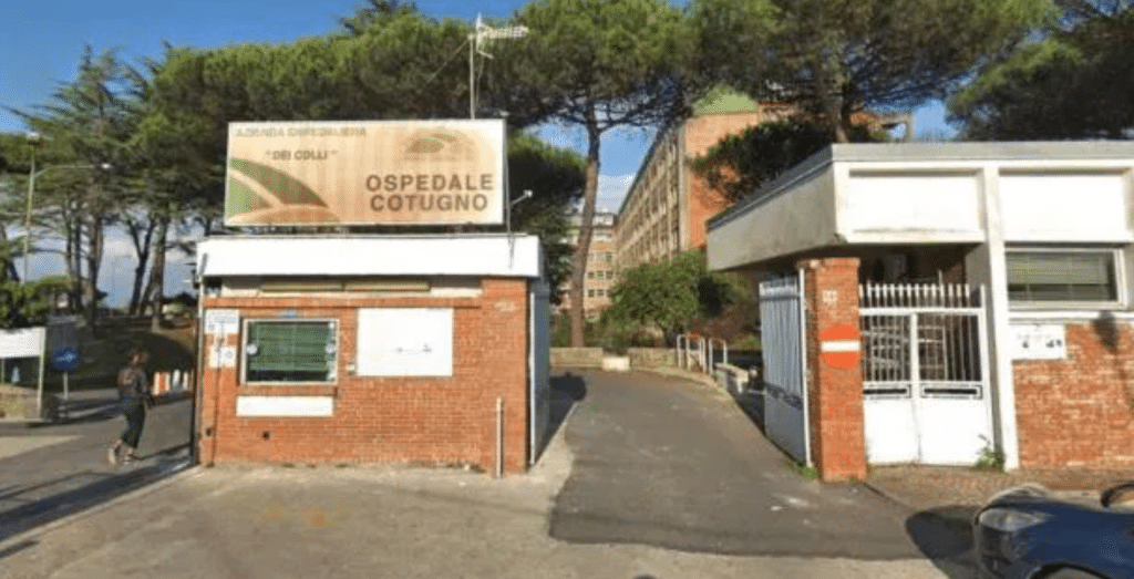 Roccadaspide morso ragno violino