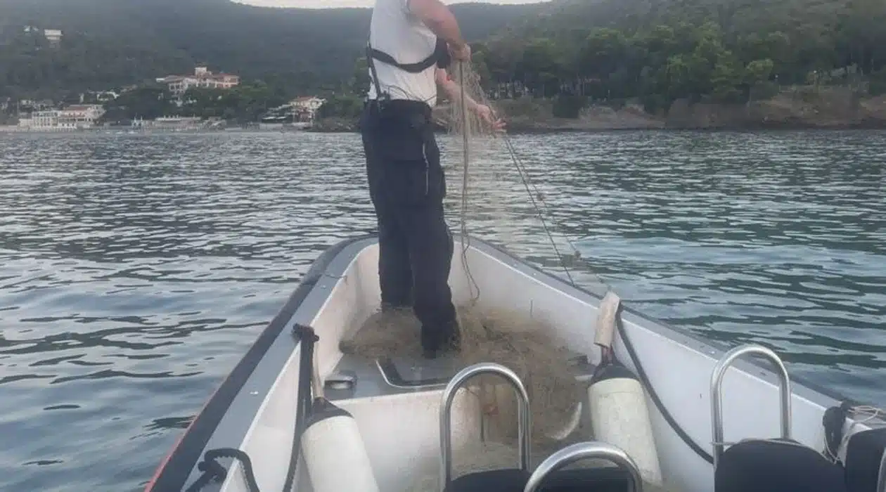 castellabate sequestrati attrezzi pesca irregolari