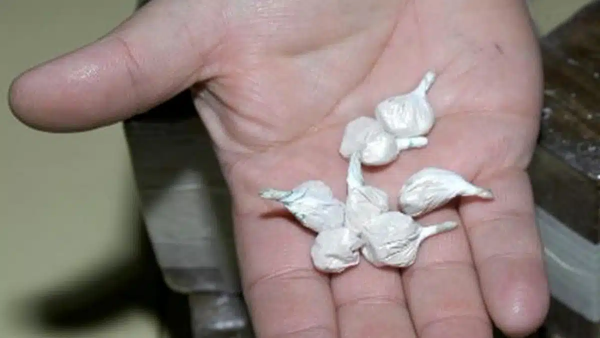 napoli dosi crack nascoste bocca arrestato 24 agosto