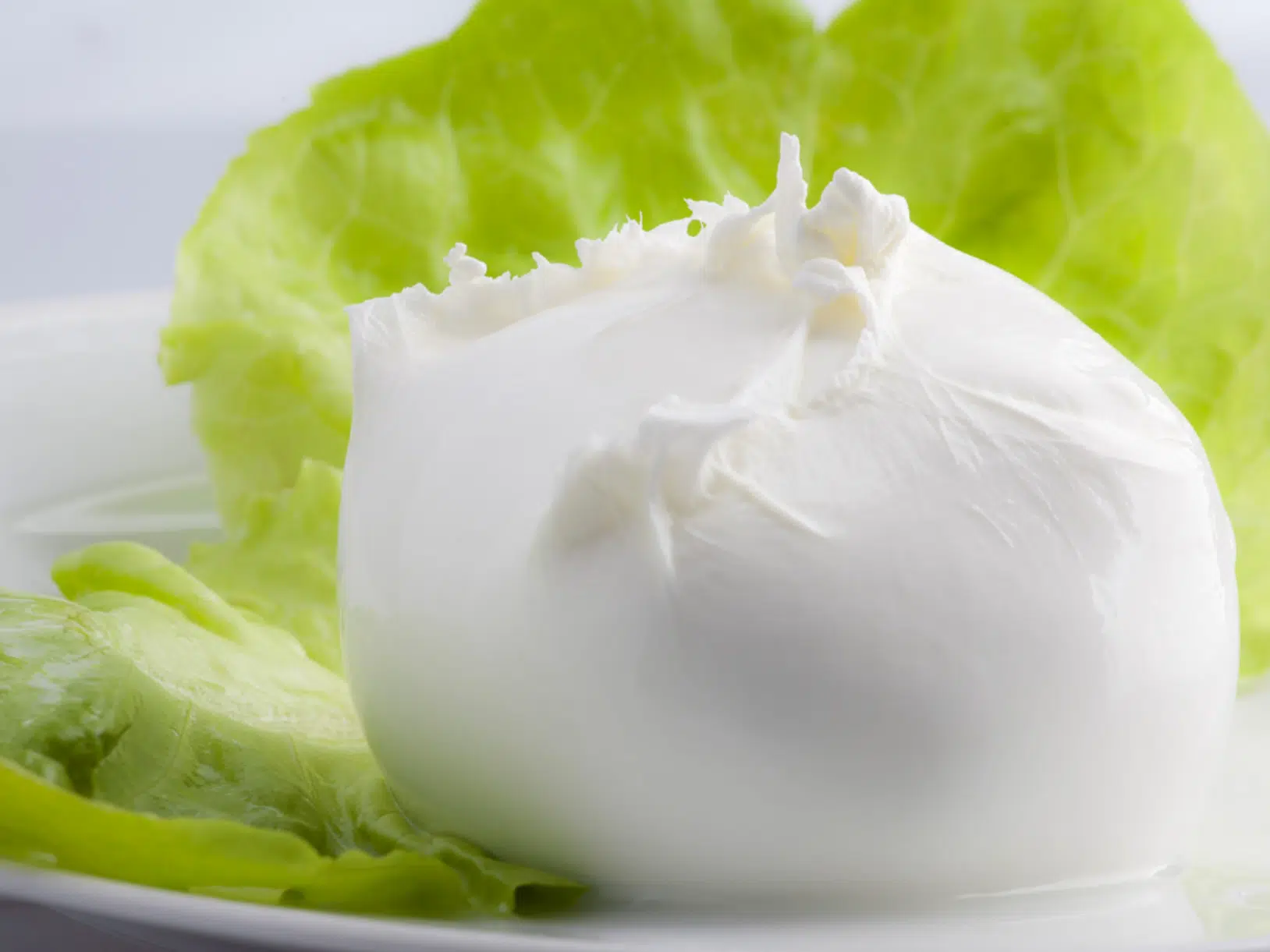 Mozzarella