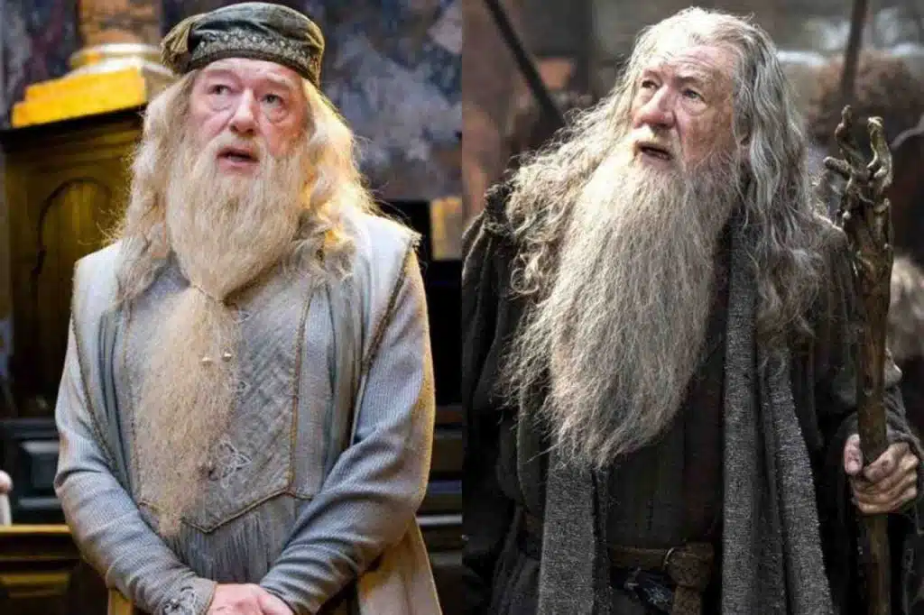 mckellen scambiato per gambon