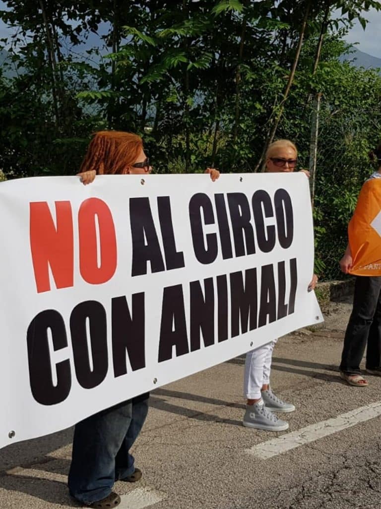 Circo