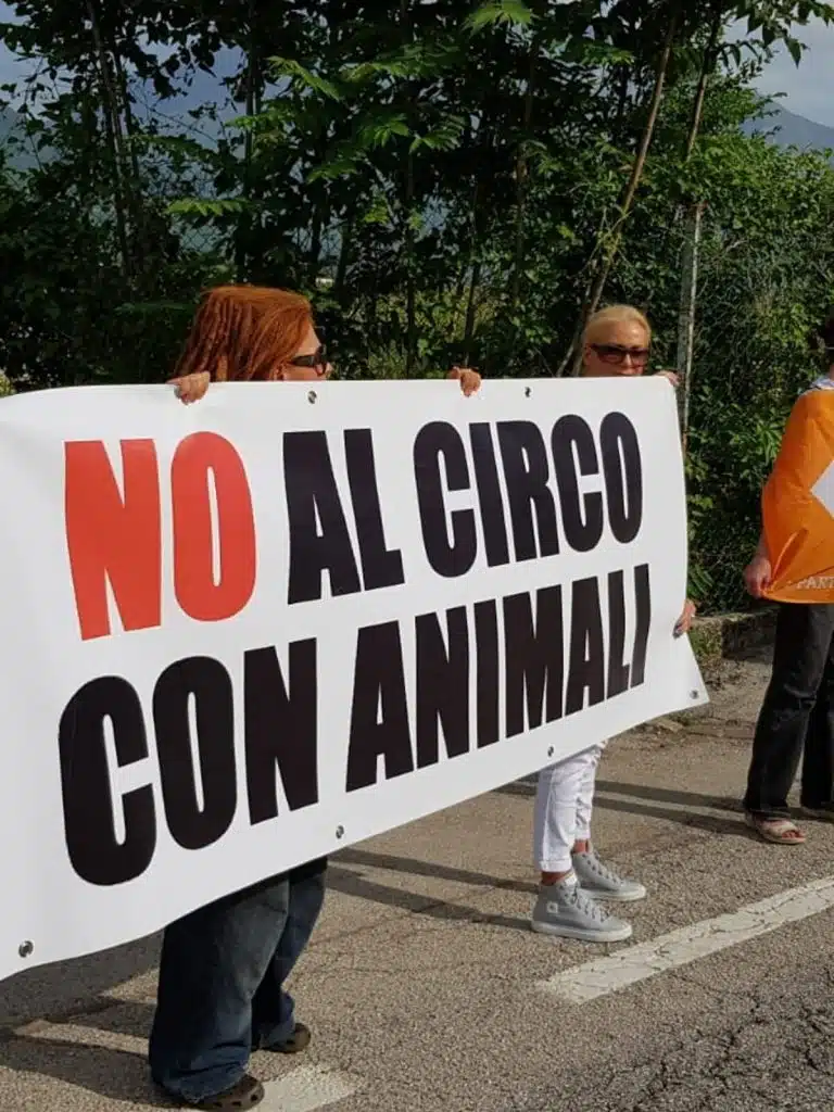 Circo
