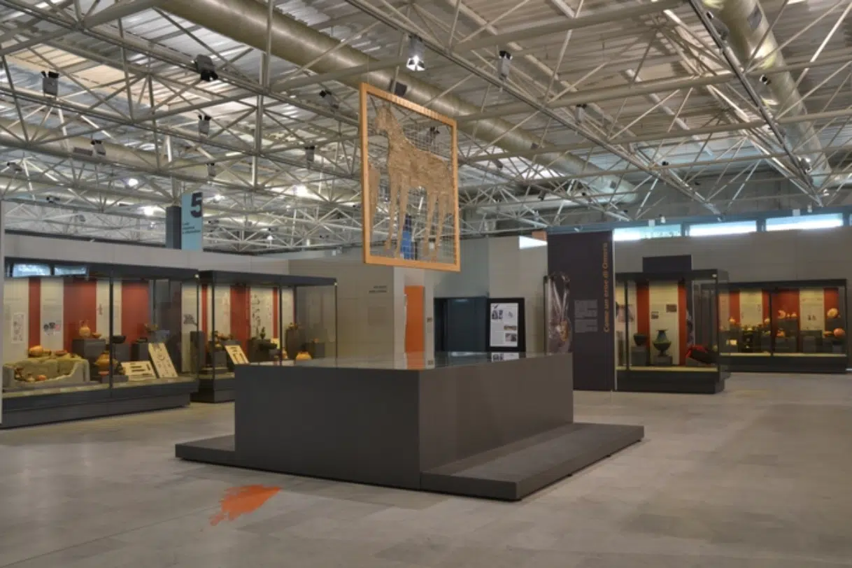 Danza, mostra-spettacolo, letteratura al Museo di Pontecagnano