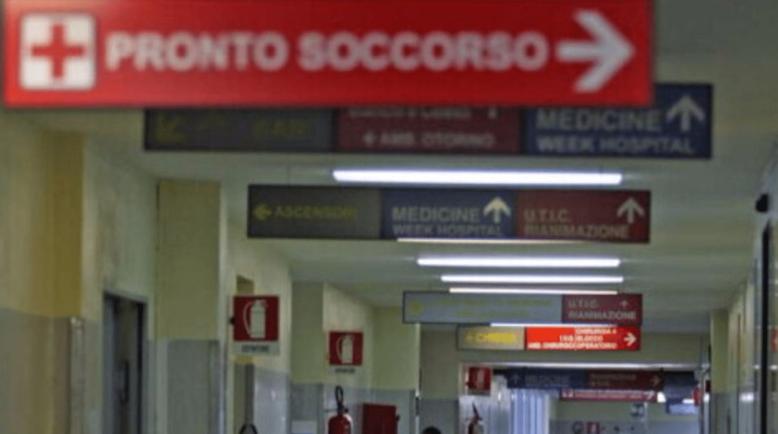 Roma turista inglese morta shock anafilattico