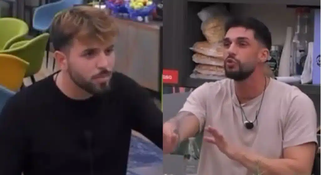 lite alfonso stefano grande fratello