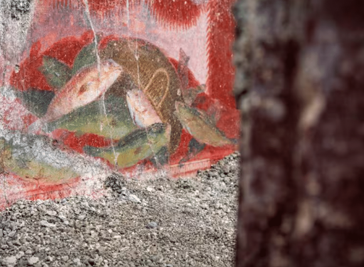 pompei affreschi ampio salone scoperta durante scavi