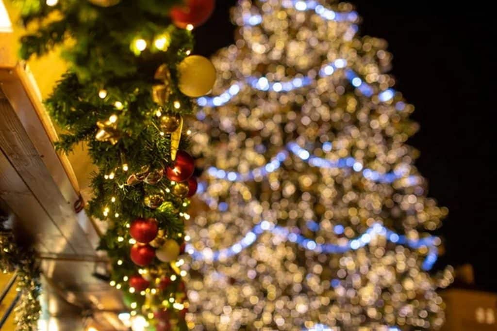 natale senza luci cilento proteste