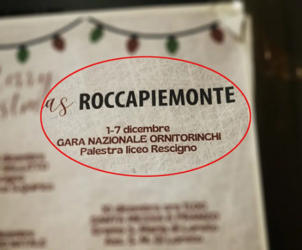 roccapiemonte errore manifesto eventi natale gara ornitorinchi