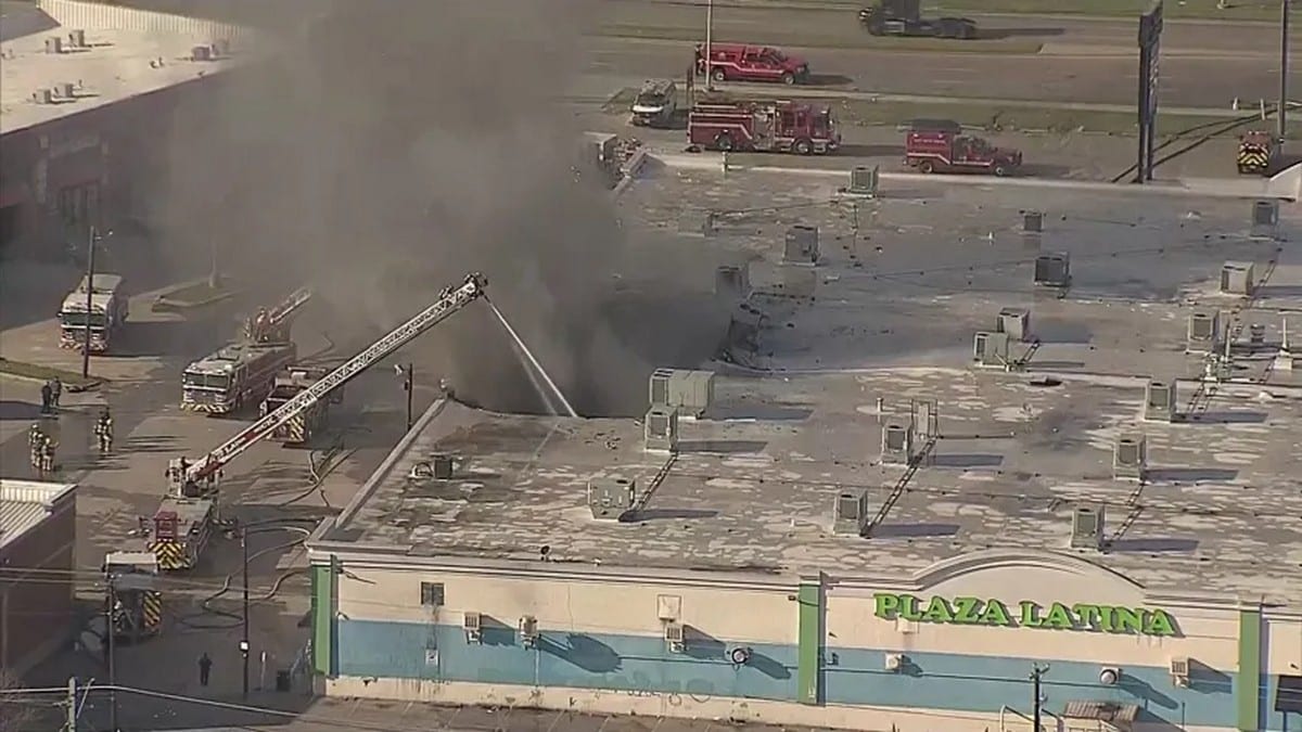 dallas-incendio-centro-commerciale-strage-animali