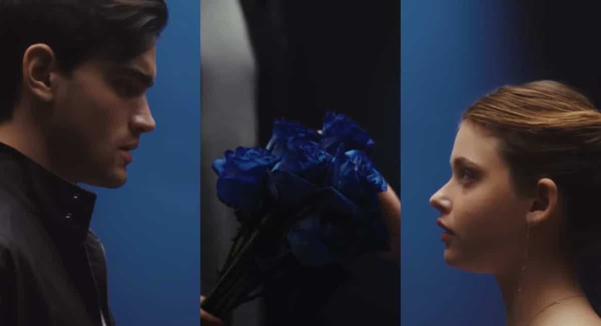 È colpa tua significato rose blu