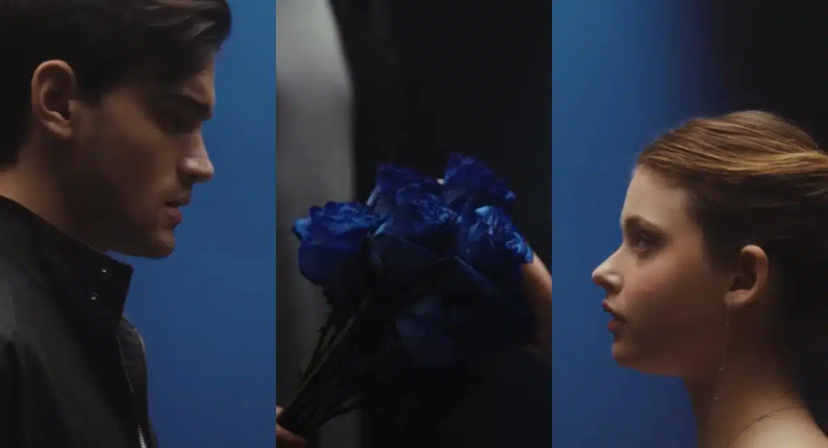 È colpa tua significato rose blu