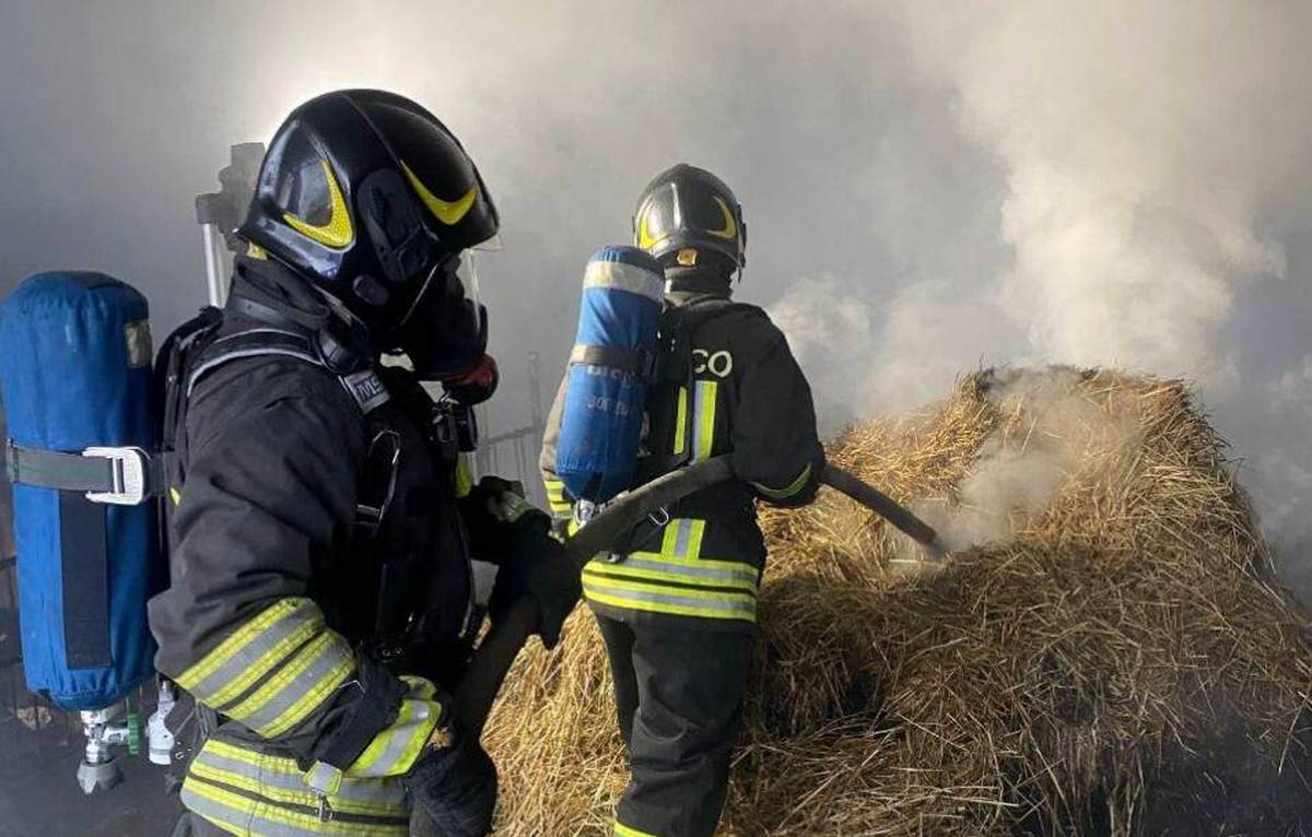 Incendio Roncello Carlo Biffi muore salvare capre