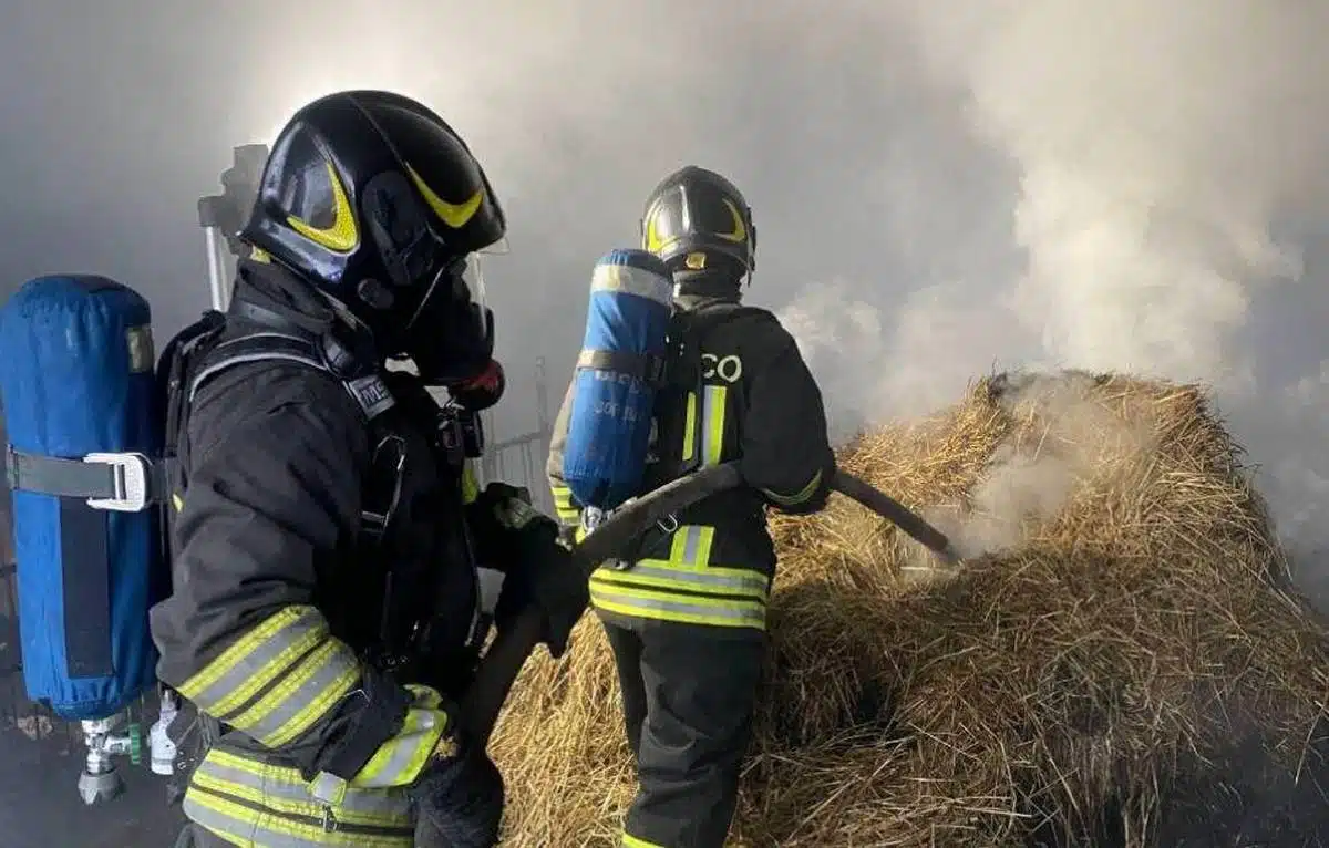 Incendio Roncello Carlo Biffi muore salvare capre