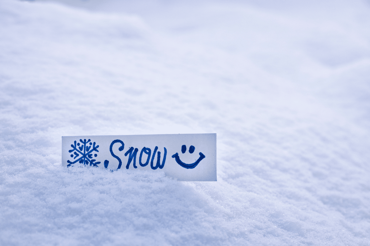 giornata mondiale neve 19 gennaio 2025