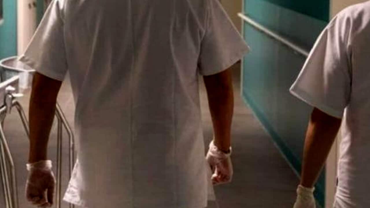 aggressione infermiere bologna arresto caserta