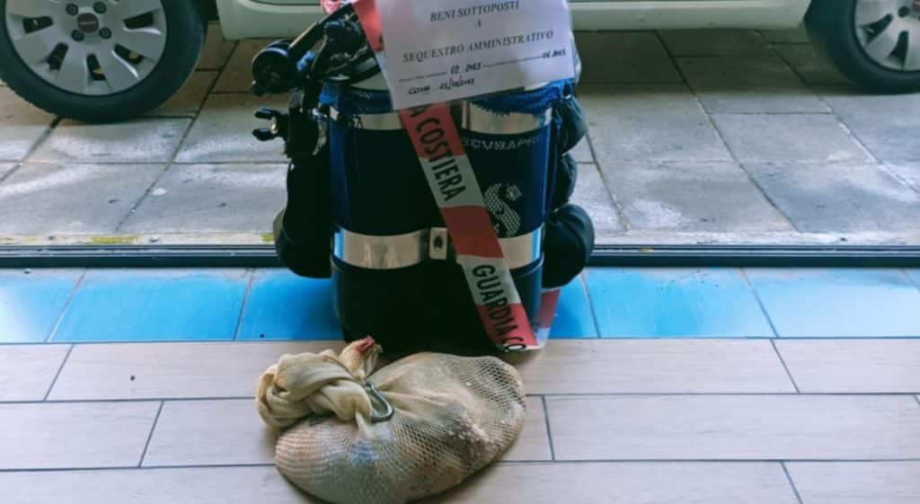 pesca illegale maiori sequestro polpi